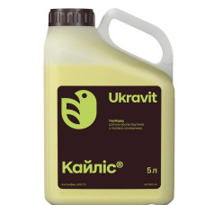 Кайліс