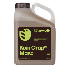 Квін Стар Макс, КЕ