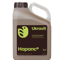 Нарапс (Галера)