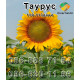 Насіння соняшнику НС Таурус
